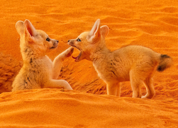 Jak se fotí Kostarika