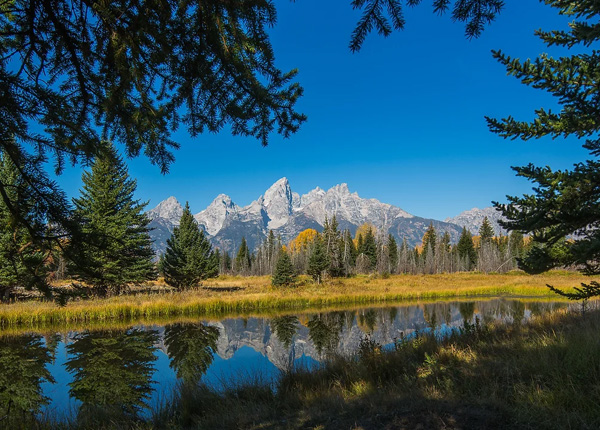 Yellowstone