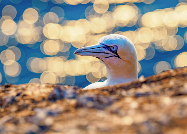 Zimní Helgoland a Düne